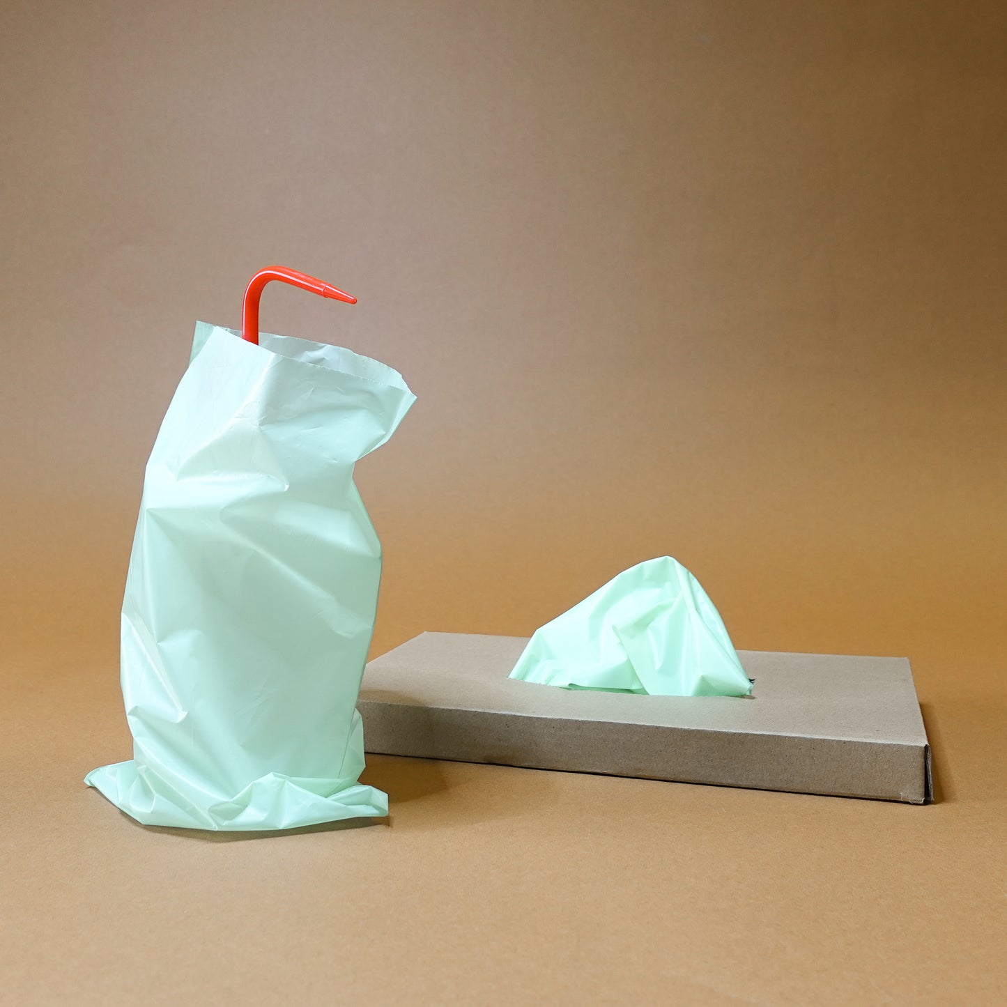 Wash bottle bag